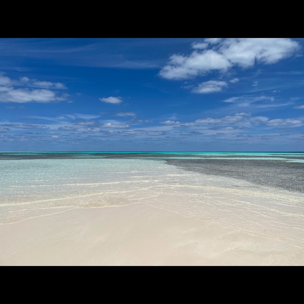 Meet your Posher, Margaret